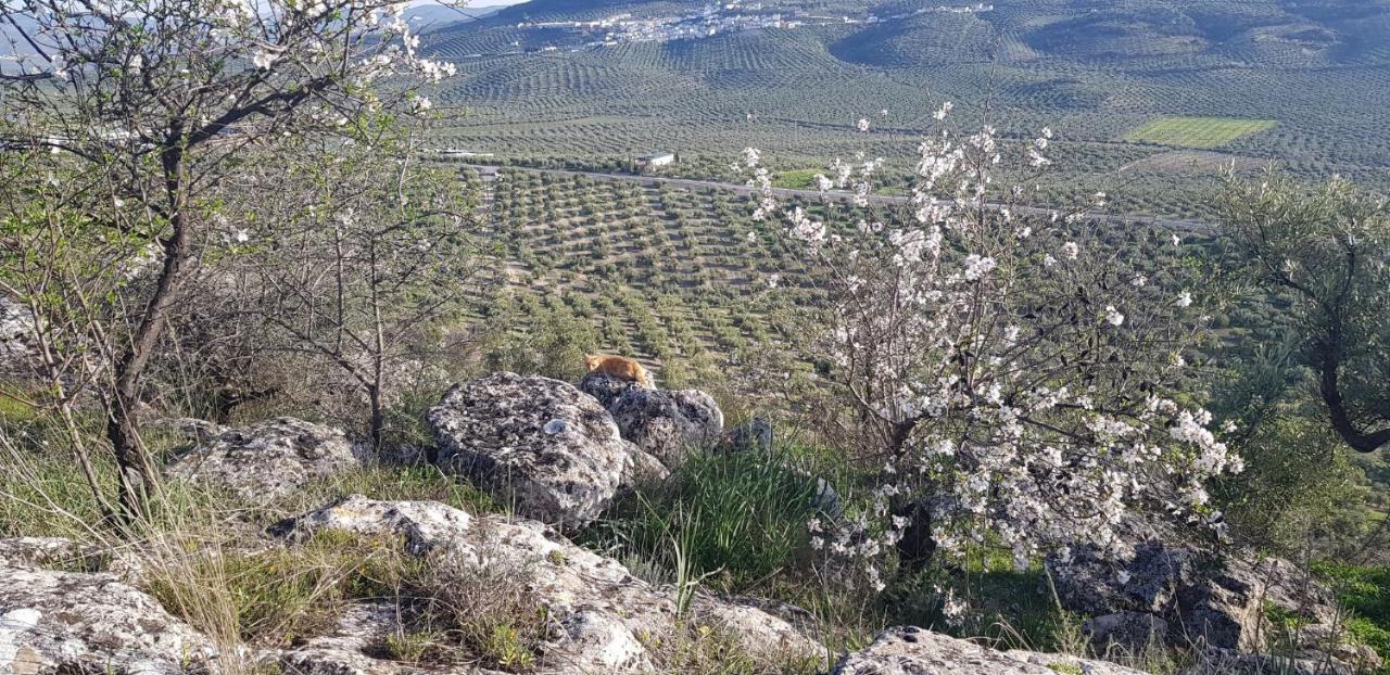 Fuente-Tojar Casa Rural Los Danzantes מראה חיצוני תמונה